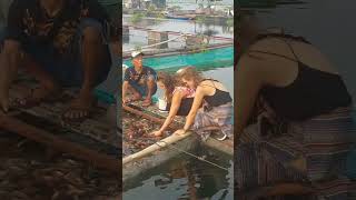 Panen Ikan di Floatingvillage