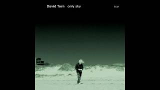 David Torn - Ok, Shorty