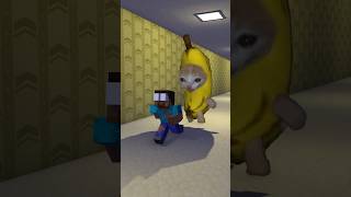 Banana Cat Chase Herobrine 🤣 #shorts