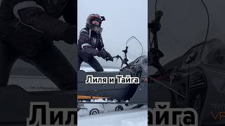 Она пытается завести #снегоход Тайга Варяг #тайга #снегоходбуран