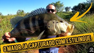 Desafio cumprido: Conquistei meu maior tucunaré com a pesca de estilingue!!!