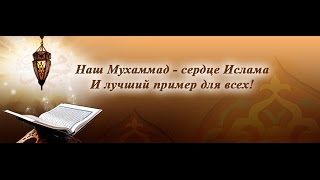 Нашид - Мустафа