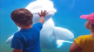 Funny Kids At The Aquarium [Funny Pets]