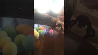 Dying Easter Eggs 2016