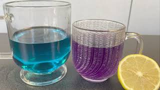 How to Make Butterfly Pea Tea