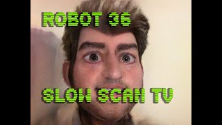 0050 Toonify SSTV Robot36