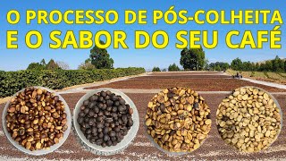 O processo de pós-colheita e o sabor do seu café