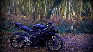 My new Yamaha R6 2010 after a nice clean (Black and Gold)