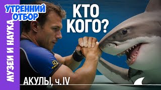 Акулы и человек: Кто кого съест? Акулы-людоеды, пресноводные акулы и другие акульи истории.