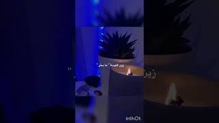 ١٠ نوفمبر ٢٠٢٤