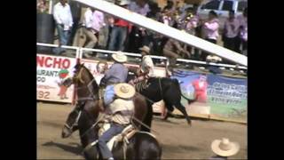 El Travieso De Colima Vs El Cuervo