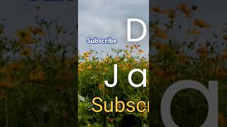 "Dil Tu Jaan" by || Swastika Bhati || #shorts #trending #short #viralshorts #youtubeshorts #ytshorts