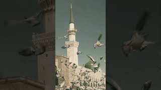 Old Madina Videos and pics ❤️ | Old city Madina Pak | Naat  #islam #naat #shorts #status #viral