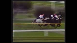 All Belles (Tauranga Trophy July 1985)