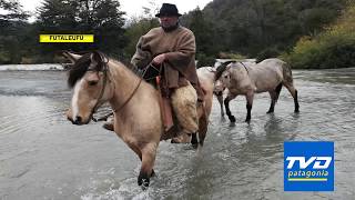 Reporte del día por inundación de caminos y desborde de ríos en distintos puntos de Futaleufú.