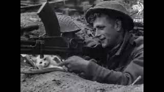 Cat in the trenches, 1940s