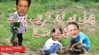 Imran Khan Poday Lagate Hoay | Nawaz Sharif Funny Video | Imran Khan | Village Life 741