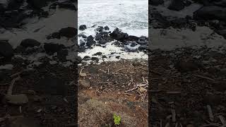 Nature's natural bubble bath on beautiful Kaua'i island