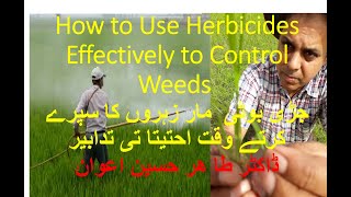 How Use Herbicides Effectively Control Weeds  جڑی بوٹی  مار زہروں کا سپرے کرتے وقت احتیتا تی تدابیر