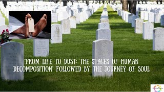 From Life to Dust The Stages of Human Decomposition Followed by the Journey of Soul #death #facts