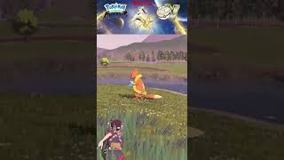 Pokemon Legends Arceus: Alpha Buizel & Floatzel