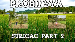 PILIPINAS | PROBINSYA | CLAVER | GIGAGUIT | MAHANUB | SURIGAO PART 2 4K 60FPS BUHAY SA PROBINSYA!