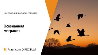 Practicum Directum: Осознанная миграция данных