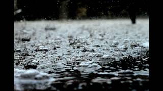 Rain Sounds for Deep Relaxation   Let the Soothing Drops Wash Away Your Stress