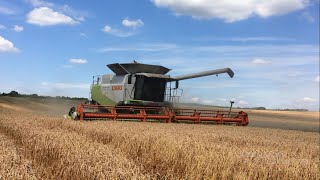 Mezőgazdászok legjobb jelenetek 2018-ból/Farmers' most exquisite scenes from 2018-ból