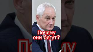 Андрей Белоусов: Почему они бегут? Что они знают, чего не знаем мы? #белоусов #новости