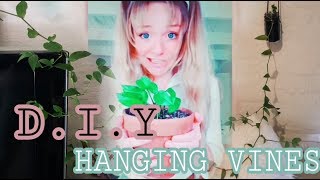 EASY DIY HANGING INDOOR PLANT!