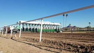 Turf Paradise Horse Racing Dec 4 2016 Money Run