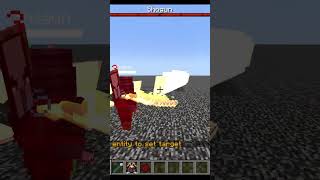 Shogun (Illager Additions) vs Shogun (Pyrologer And Friends)  Minecraft  Mob Battle