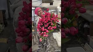 Рабочие моменты 🌷Выгонка тюльпана к 8 марта 🌷