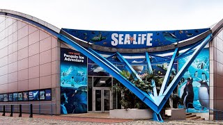 Birmingham sea life tour and Winterbourne house tour 4k 60fps