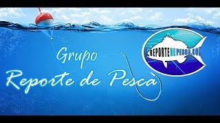 Pescas de nuestro grupo 2018