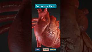 Unknown facts about heart #biology #humananatomy #internalorgans