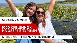 Озеро с кувшинками в Турции. Озеро Ышыклы. Денизли