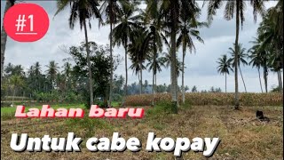 LADONYO URANG AWAK ~ Lahan baru| 40x40 | CABE KOPAY DARI PAYAKUMBUH