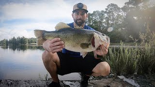 Catching Two Huge Bass Back to Back! My son makes me his first beat!