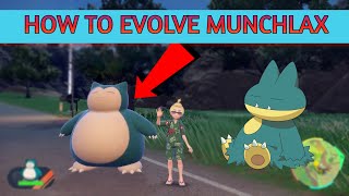 How to Evolve Munchlax Into Snorlax [Pokemon Scarlet and Violet]