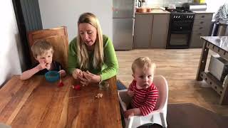 Home Activities: Ten Little Cheerios (Counting)