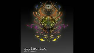 Chad Morris - Title Track - Brainchild (Acoustic Jazz Guitar)