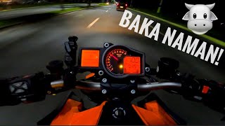 BAKA naman! || TorqKey