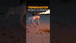 Терминатор робо-собака #shorts