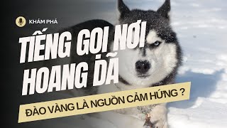 Jack London và nguồn cảm hứng viết Tiếng gọi nơi hoang dã | Khám phá văn học