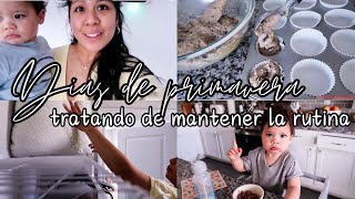 MI VIDA EN USA 🇺🇸 | Depurando y empiezo con organizacion de primavera 🌸 horneamos muffins 🫐