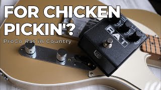 3 Minute Demo: ProCo Rat on Country | Distortion for Chicken Picking