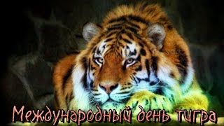 29 ИЮЛЯ. ДЕНЬ ТИГРА 🐅