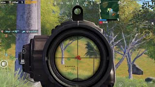 Why do people prone like this in Sanhok? PUBG Mobile